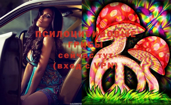 ALPHA PVP Нефтекумск