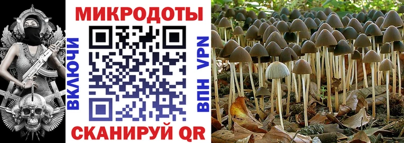 Псилоцибиновые грибы мухоморы Обь