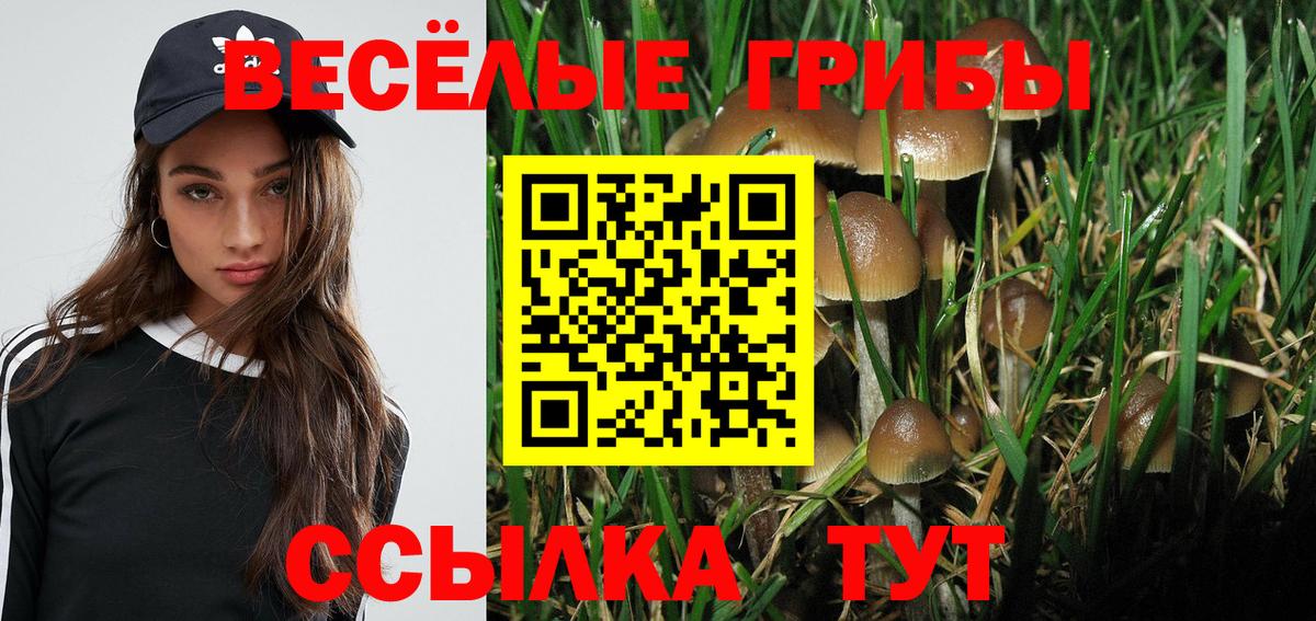 Галлюциногенные грибы ЛСД Обь