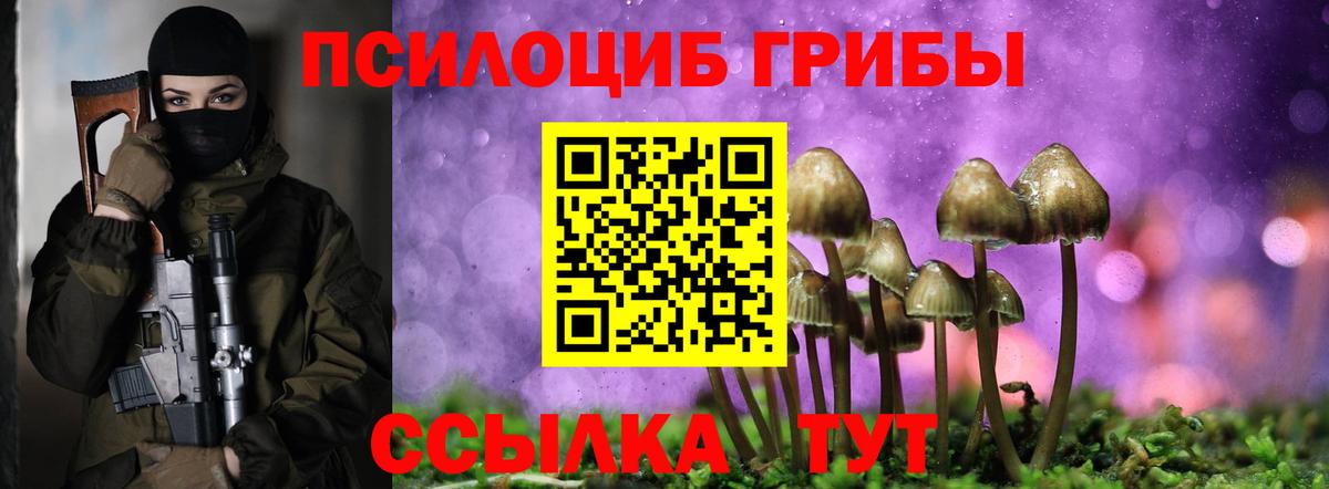 купить наркоту  Вход с VPN  Обь  Псилоцибиновые грибы GOLDEN TEACHER 
