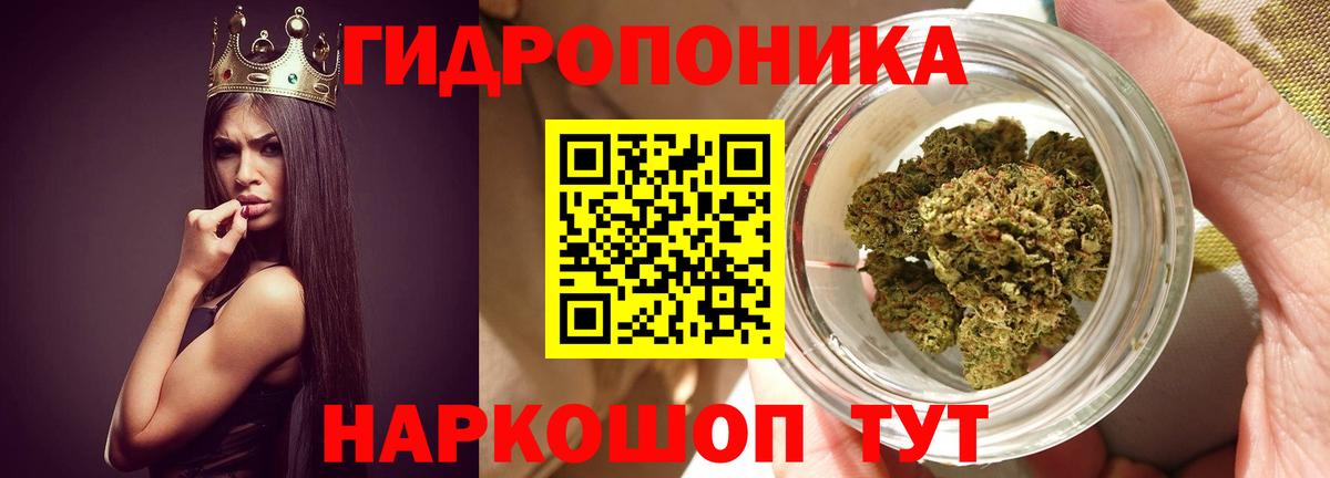 Бошки Шишки тримм  Вход с VPN  Шишки марихуана тримм  Обь  Каннабис Ganja  Марихуана марихуана 